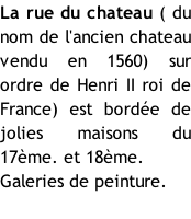 La rue du chateau ( du nom de l'ancien chateau vendu en 1560) sur ordre de Henri II roi de France) est bordée de jolies maisons du 17ème. et 18ème. Galeries de peinture.