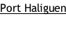 Port Haliguen